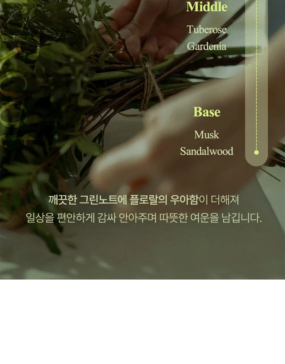 [대용량/탈모증상완화] 달리프 클로렐라 베러 루트 릴렉싱 샴푸 1000ml 상세페이지 29